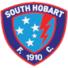 南霍巴特logo